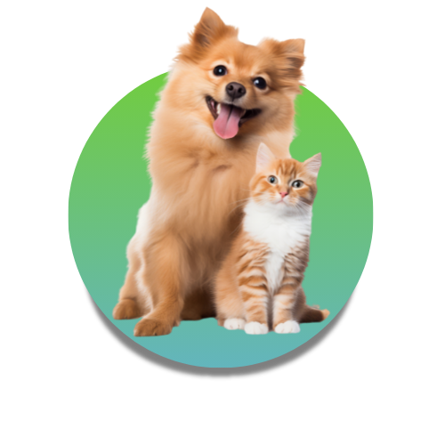 Mascotas