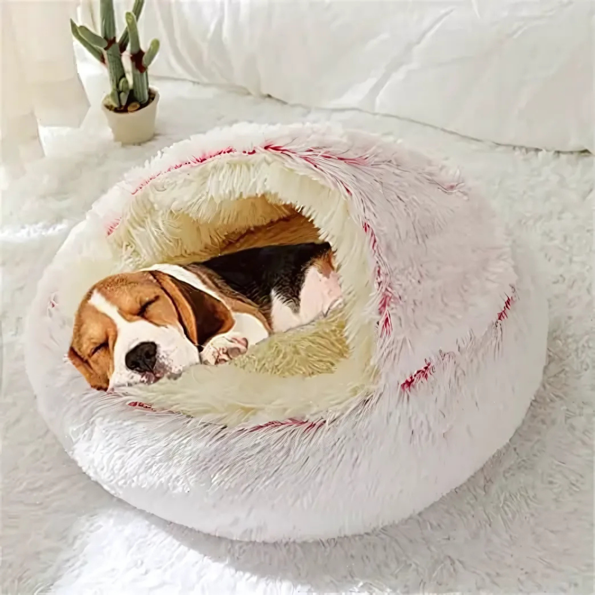Camita de Dormir para Gatitos o Perritos