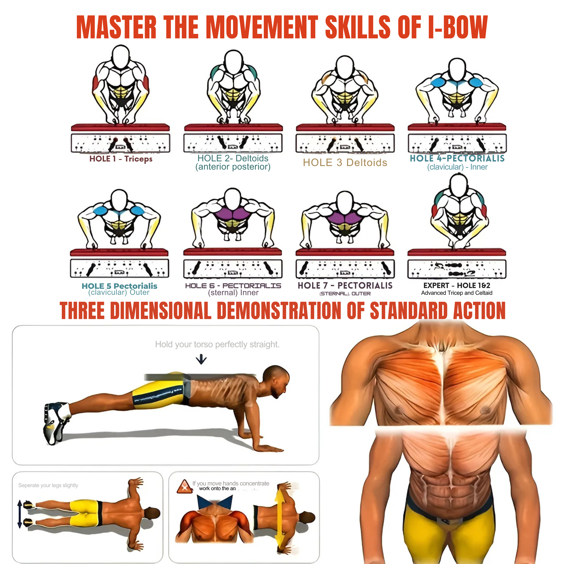 Tabla de Flexiones Portátil y Multifuncional