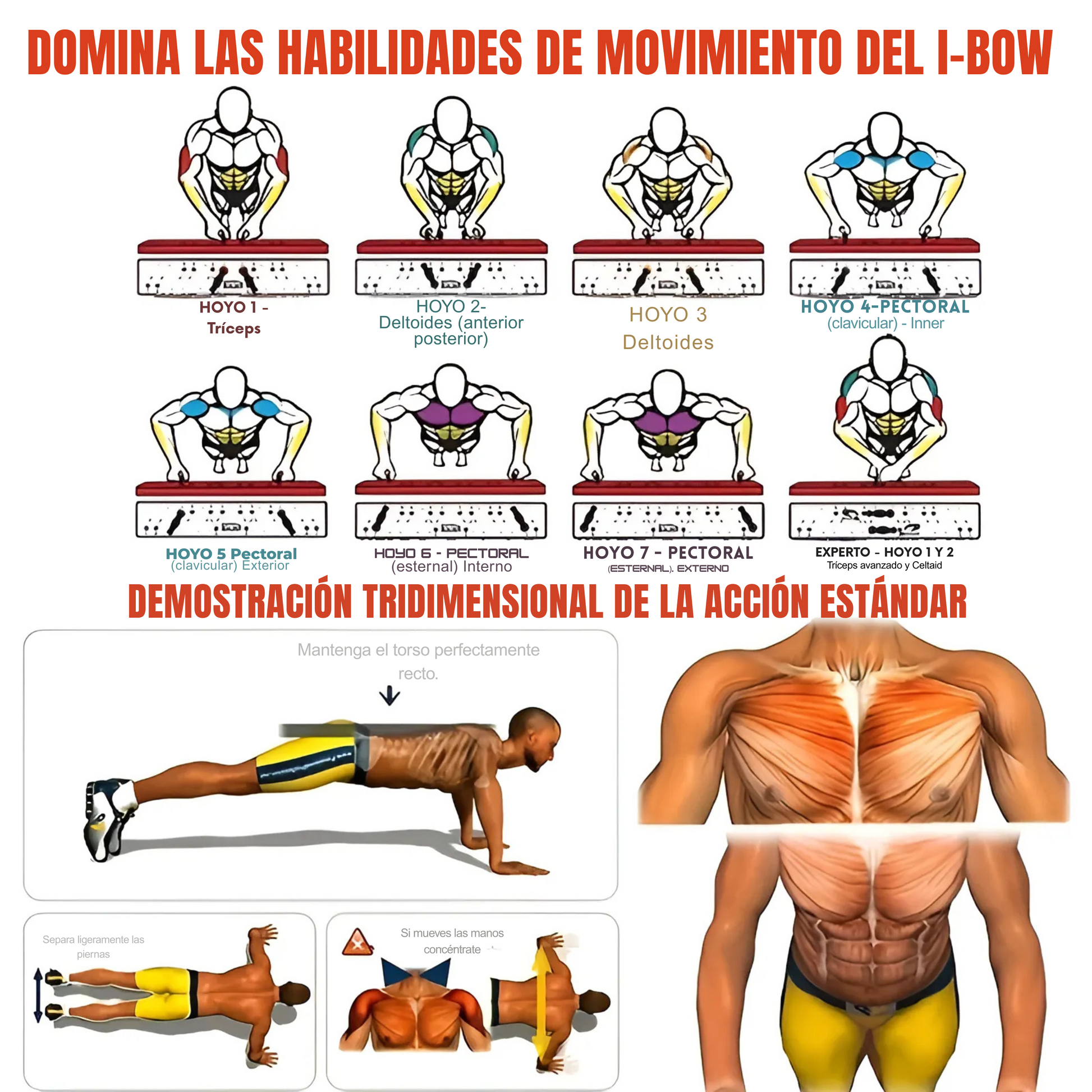 Tabla de Flexiones Portátil y Multifuncional